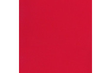 Спортивный линолеум Tarkett Omnisports Excel Red