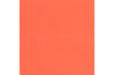 Tarkett Omnisport Speed Orange
